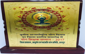 Mementos-of-Dr-sanjay-maheshwari-Udaipur-Rajasthan-India